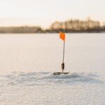 How Much Does It Cost to Freeze Sperm?