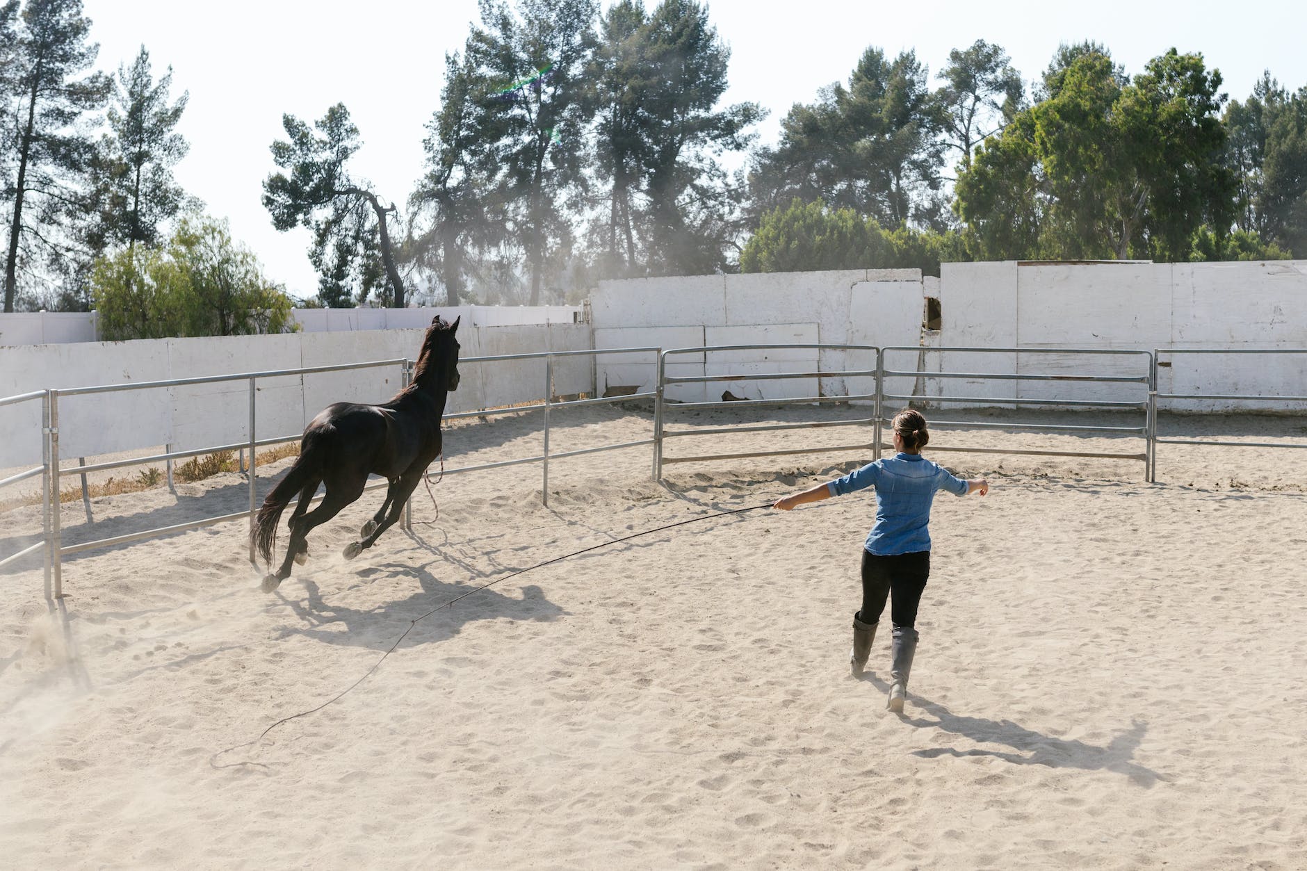 how much does it cost to own a horse