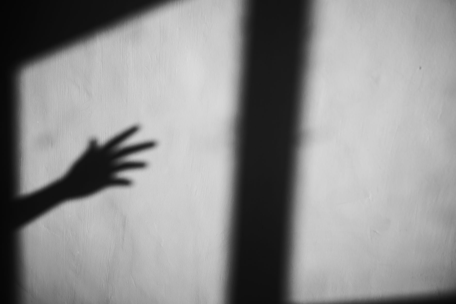 how much does it cost to tint windows